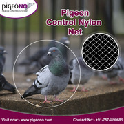 Pigeon Control Services,  India | Pigeono.com