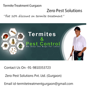 Termite Treatment Gurgaon. Zero pest control solution.