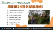 Anti Bird Nets In Bangalore