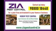 Rodent Control |Pest control near me | Up to 25% off Restaurent | 8001